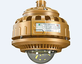 FGV1208-LED 免维护节能防爆灯